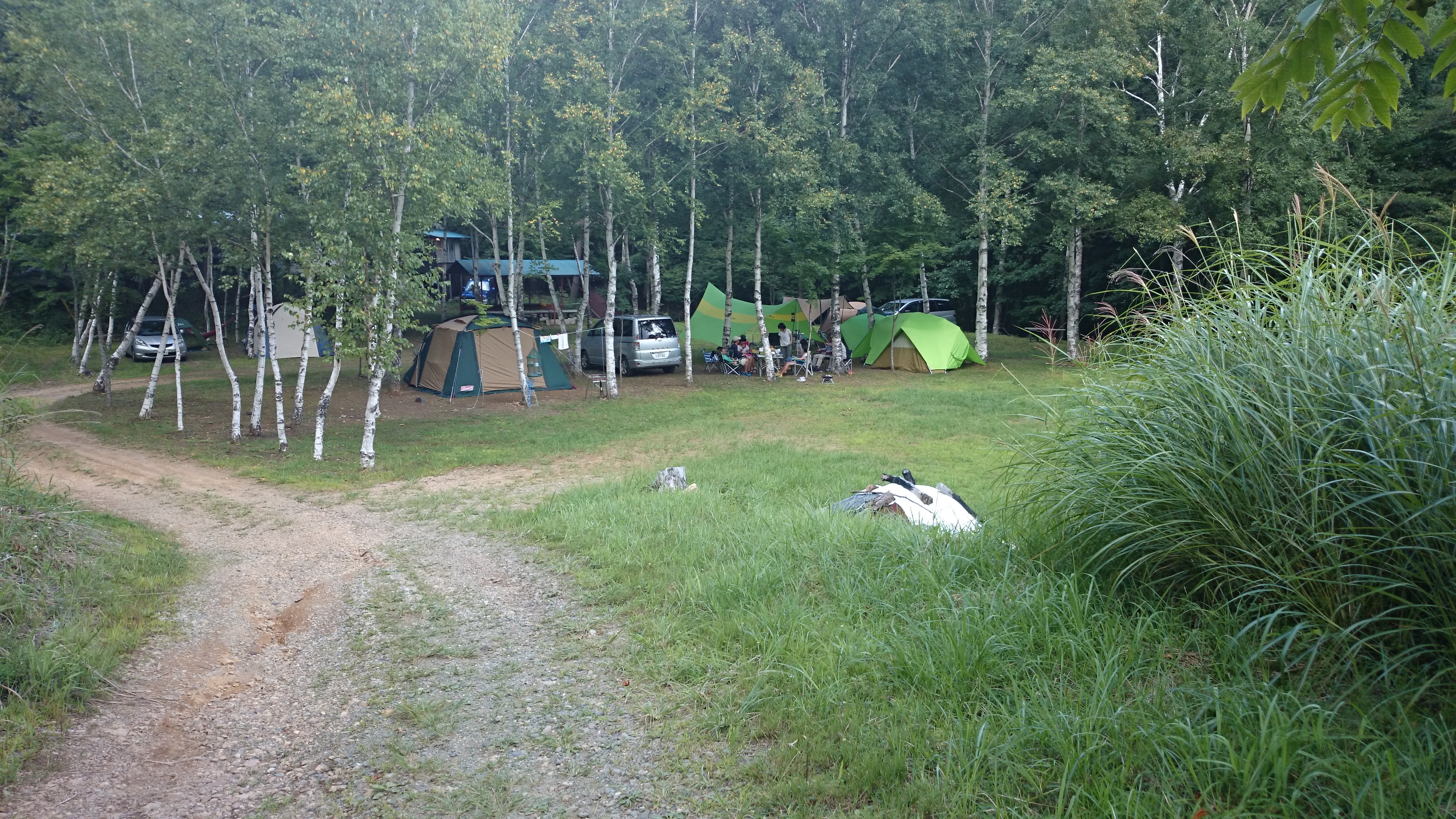 キャンプ場,キャンプ,バーベキュー,林間,涼しい,川遊び,静か,釣り